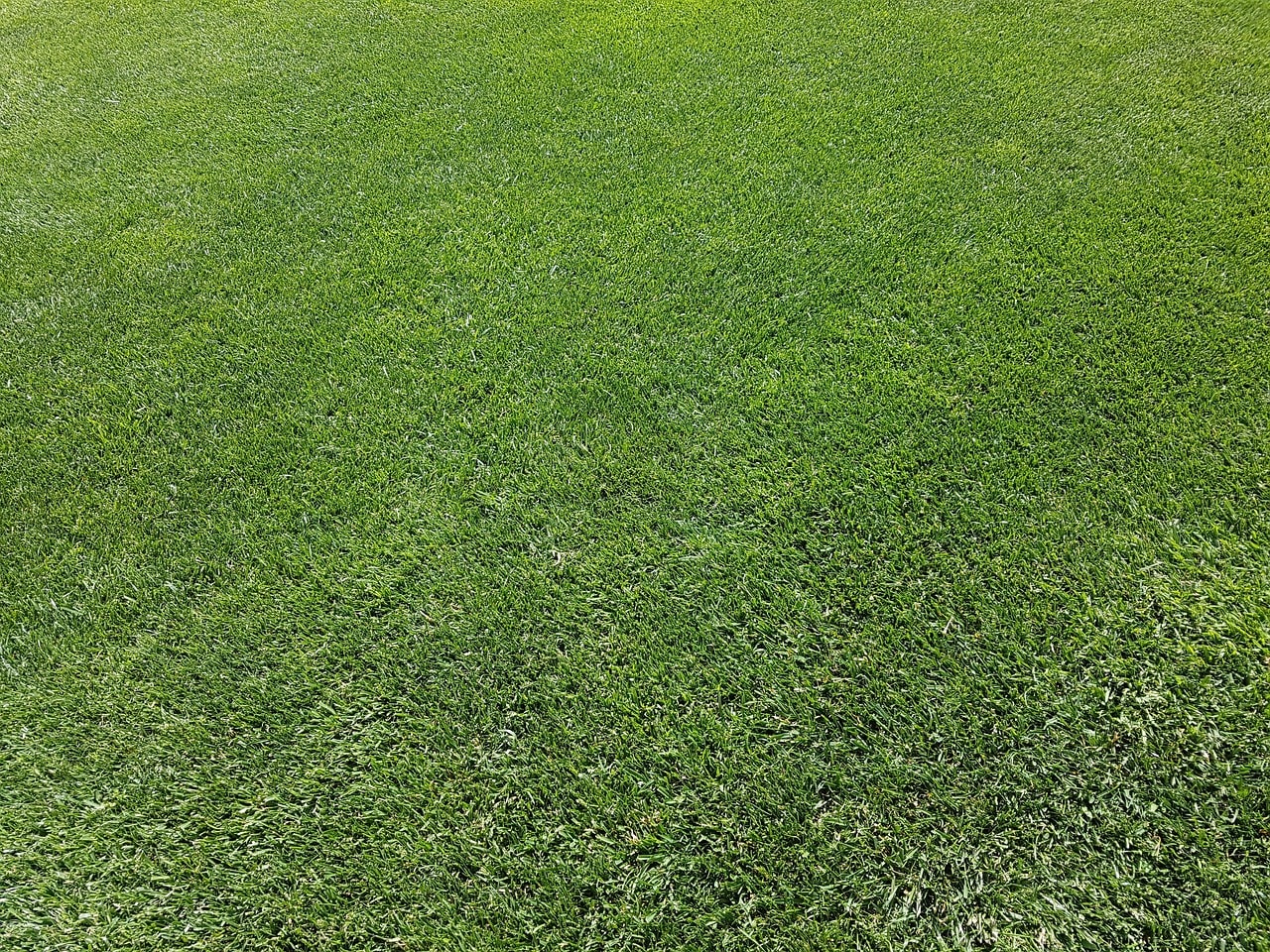 About ORBITAL WRENCH DAYDREAM Lawn Care