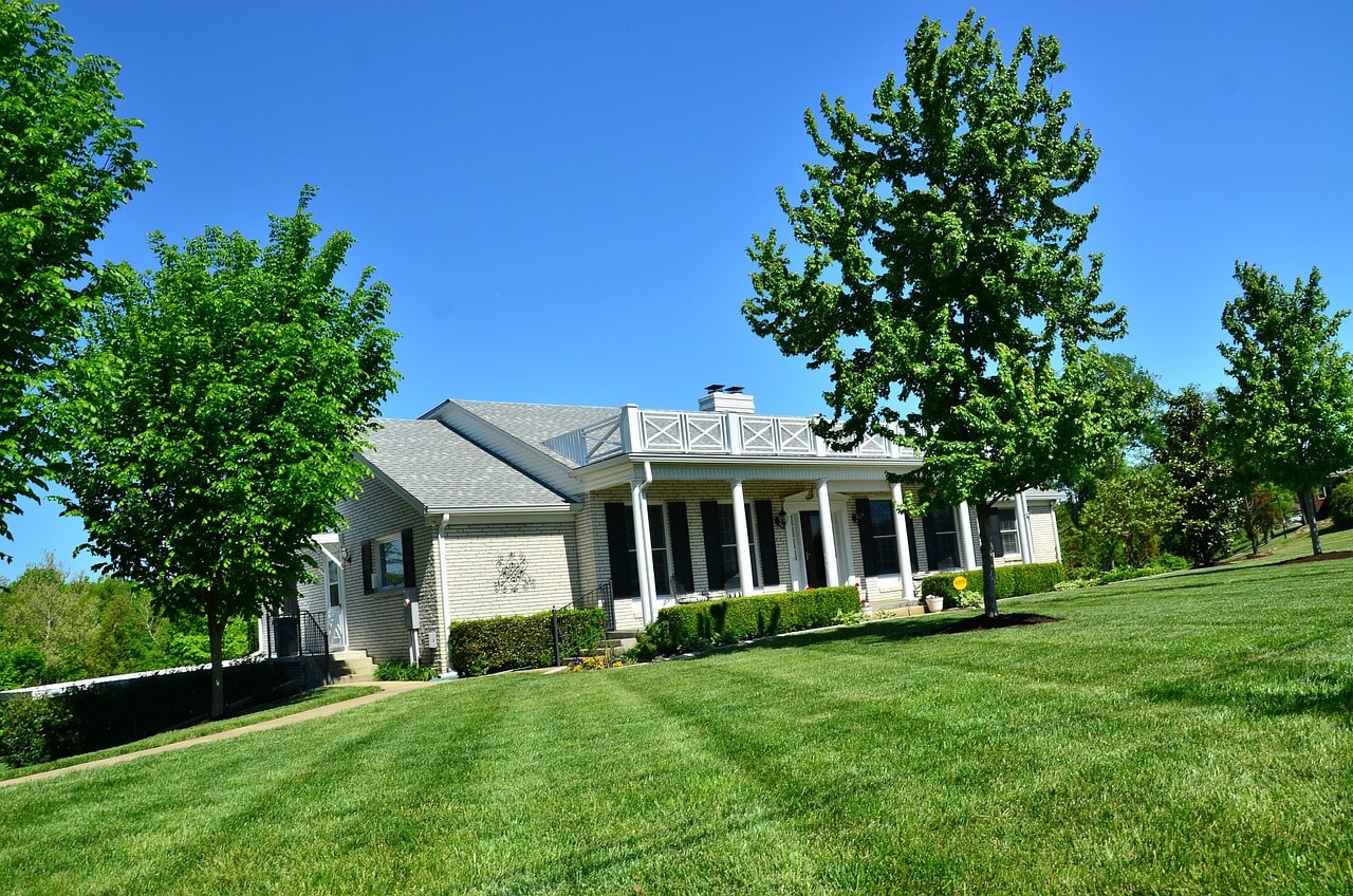 Pest and Disease Management  Services
