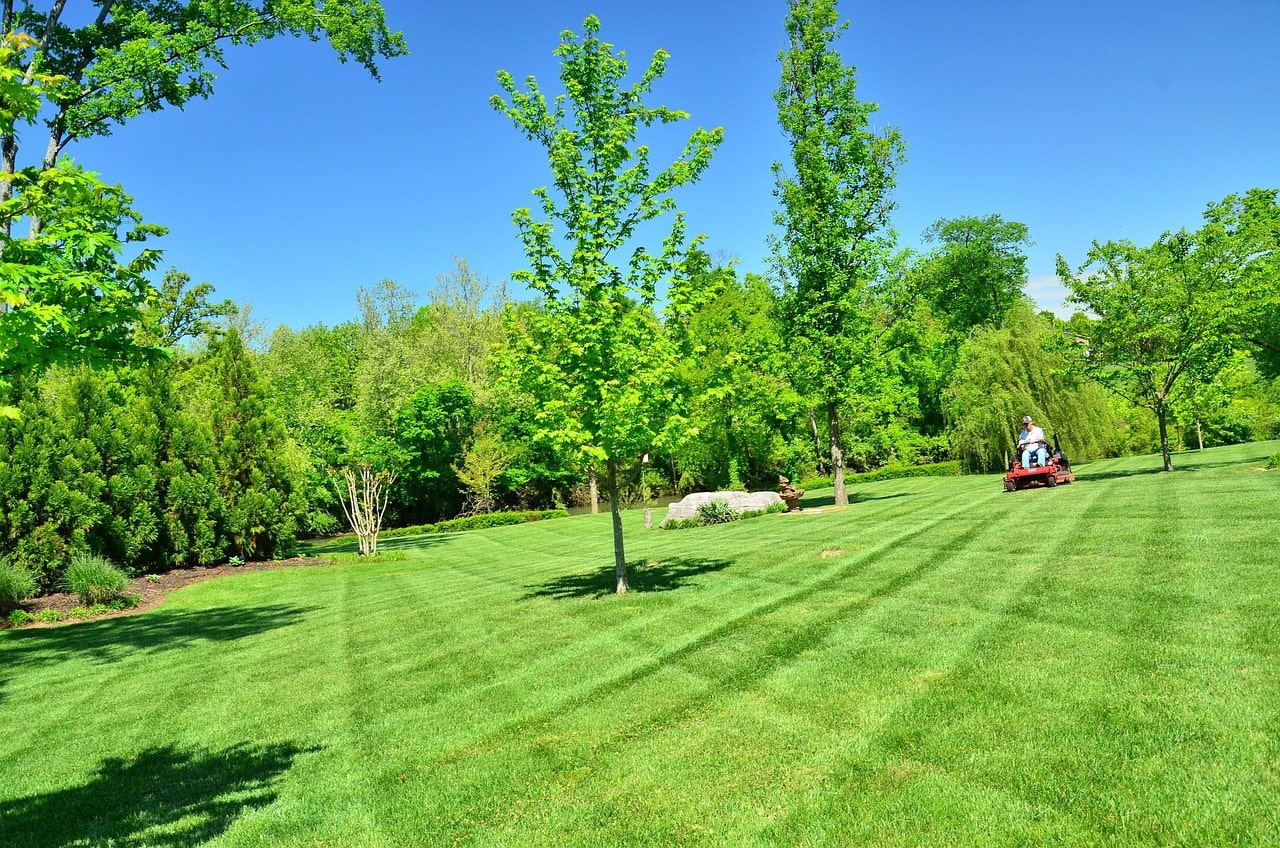 Lawn Mowing and Maintenance  Services