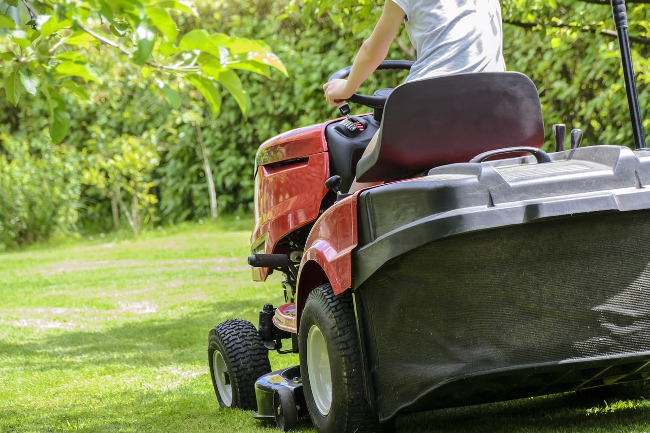 Tree and Shrub Planting, Trimming, and Maintenance  Services